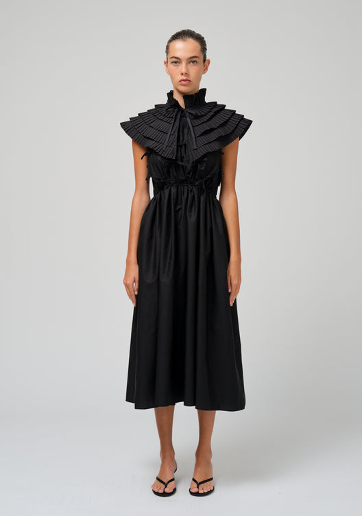 LARGE REMOVABLE COLLAR