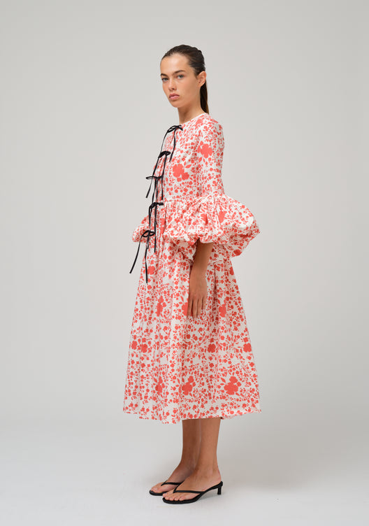 DARINA DRESS